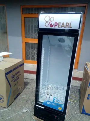 Authentic Displays Fridge
