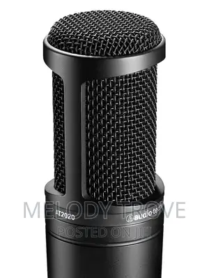 Audio Technica AT2020 Studio Condenser Microphone