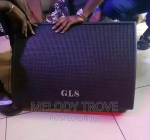 GLS Active Stage Speakers