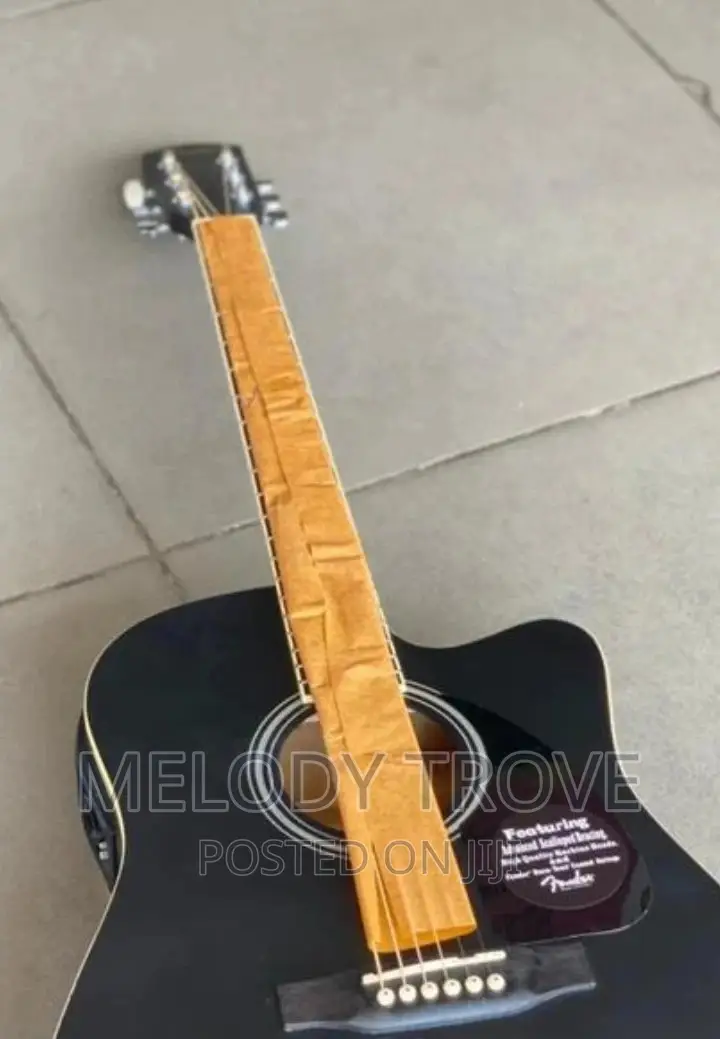 Fender Semi-Acoustic Guitar