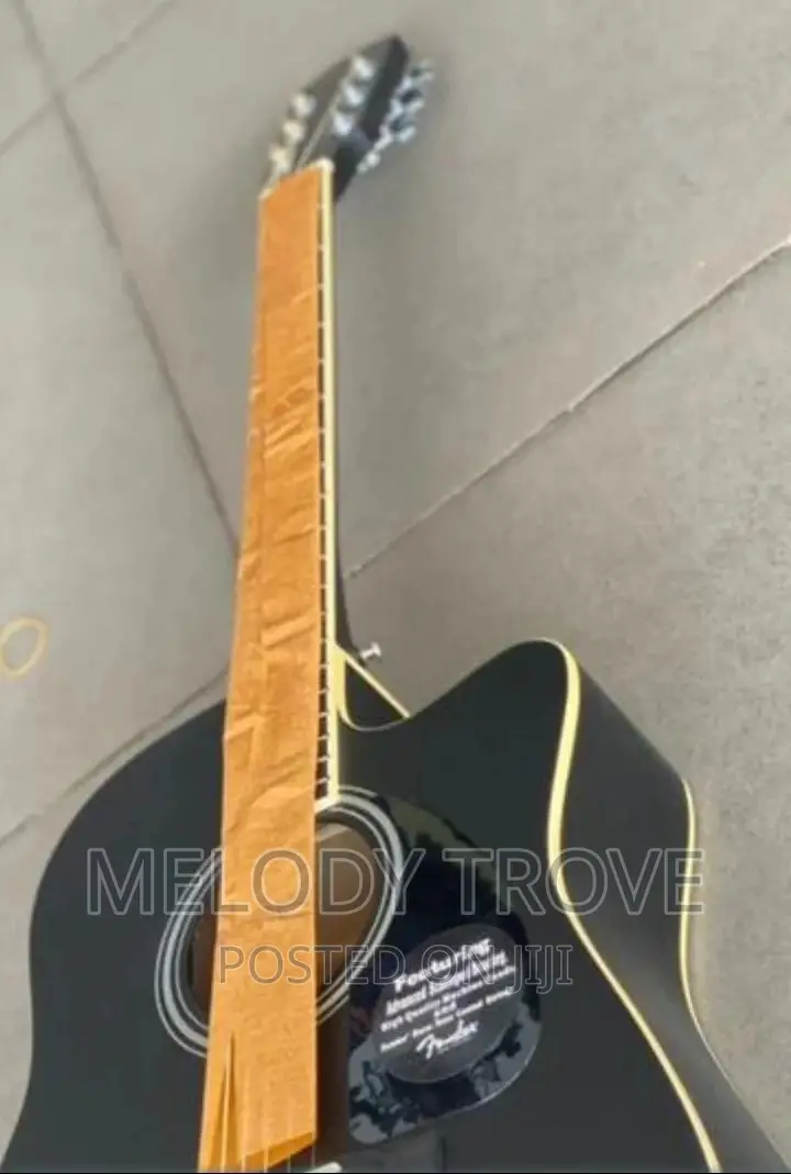 Fender Semi-Acoustic Guitar
