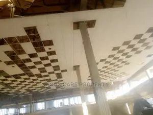 Acoustic Ceiling