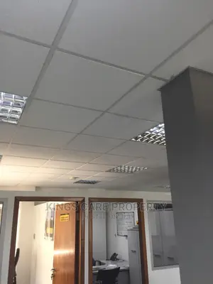 Acoustic Ceiling