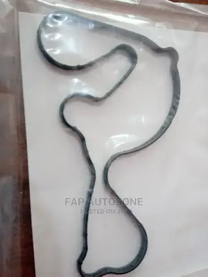 Ford Water Pump Gasket