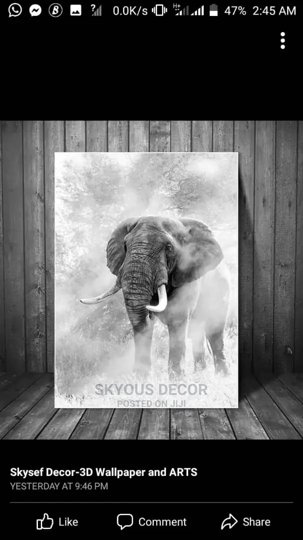 Wall Canvas
