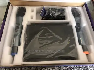 Professional Microphone