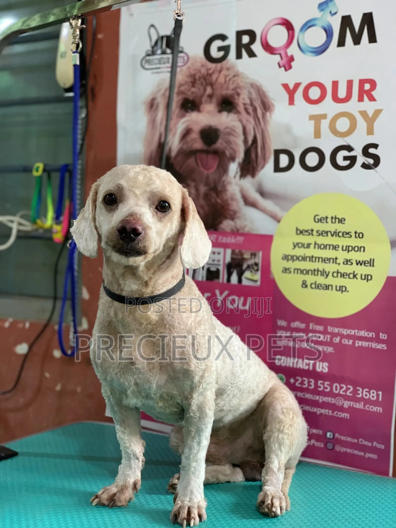 Full Option Grooming Package #1