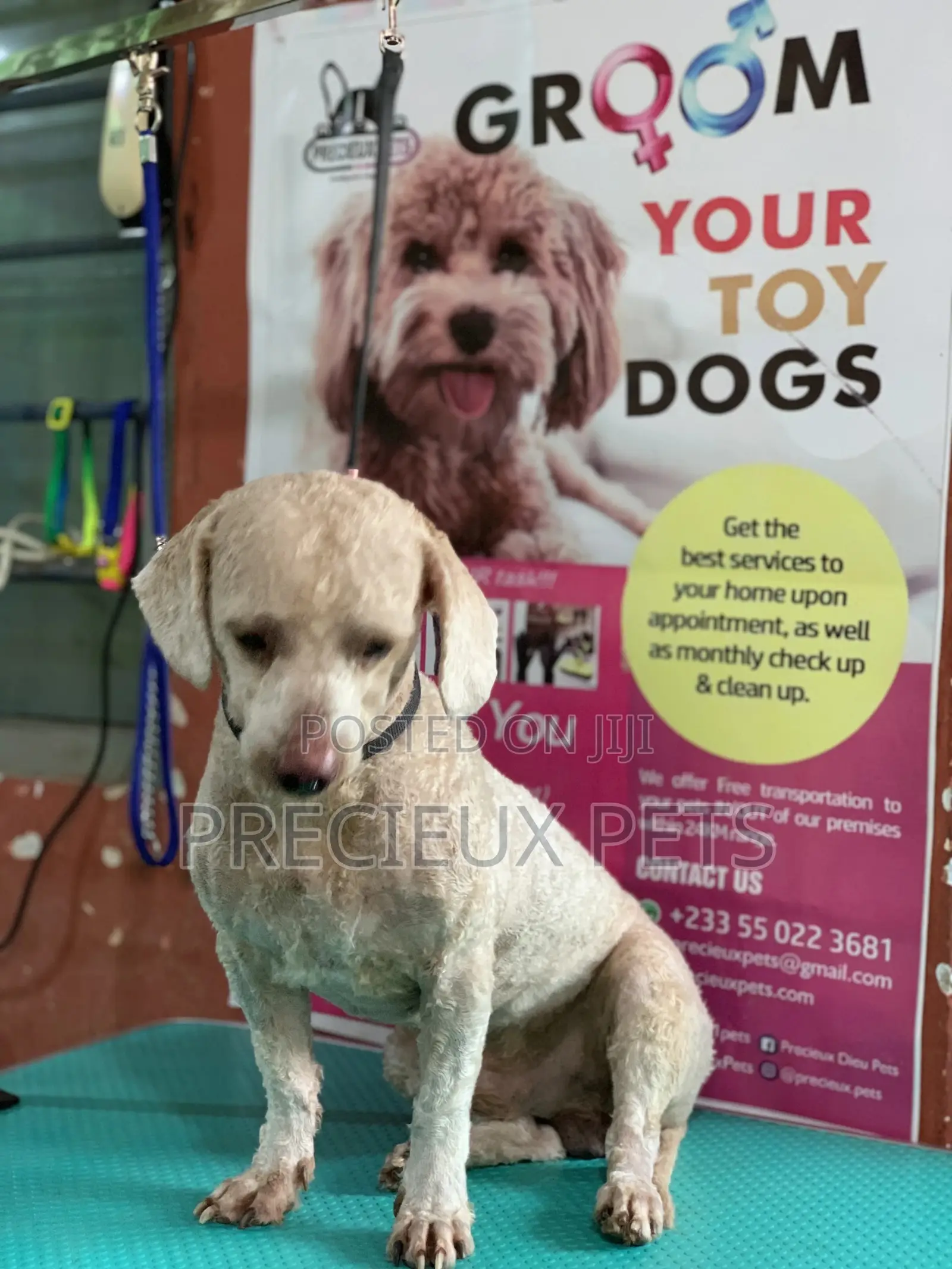 Full Option Grooming Package #1