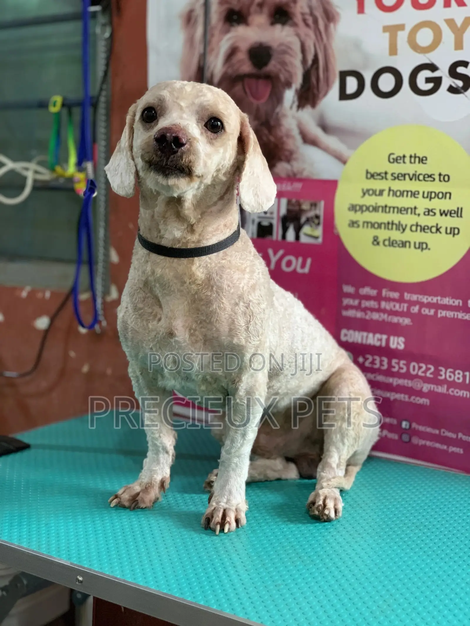 Full Option Grooming Package #1