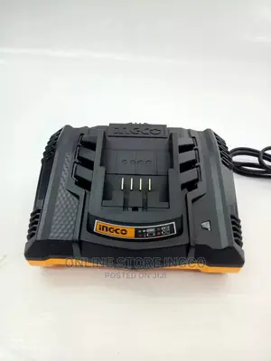 Fast Intelligent Charger
