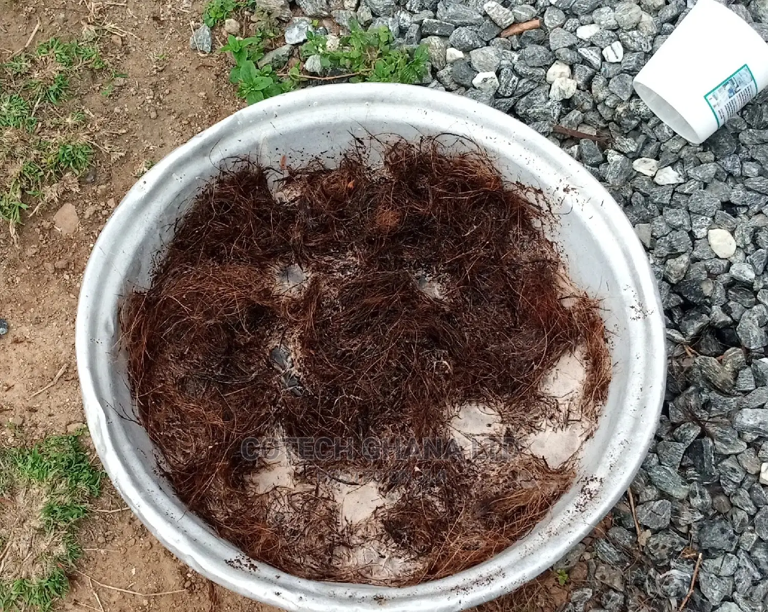 Treated Coconut Fiber and Digester Chemicals ( Bio Enzymes)