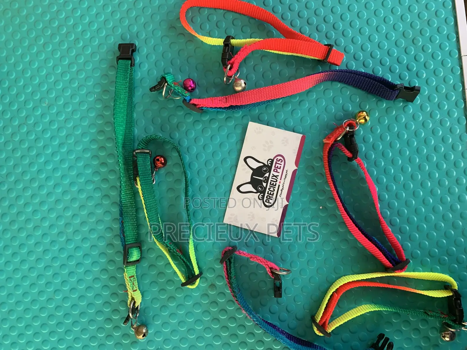 Rainbow Color Belts