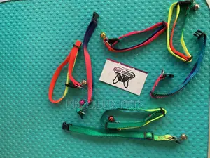 Rainbow Color Belts