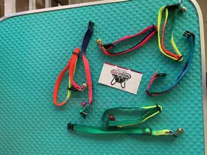 Rainbow Color Belts