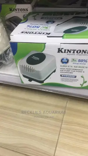 16 Outlet Airpump