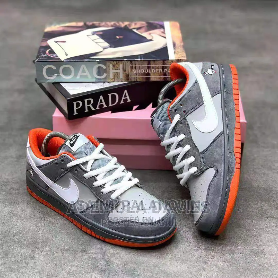 Nike Air Dunk