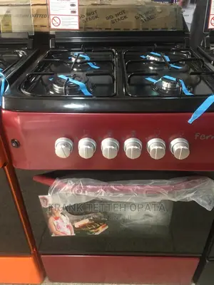Ferre Stainless Steel 60x60 Oven Grill With Chicken Roaster