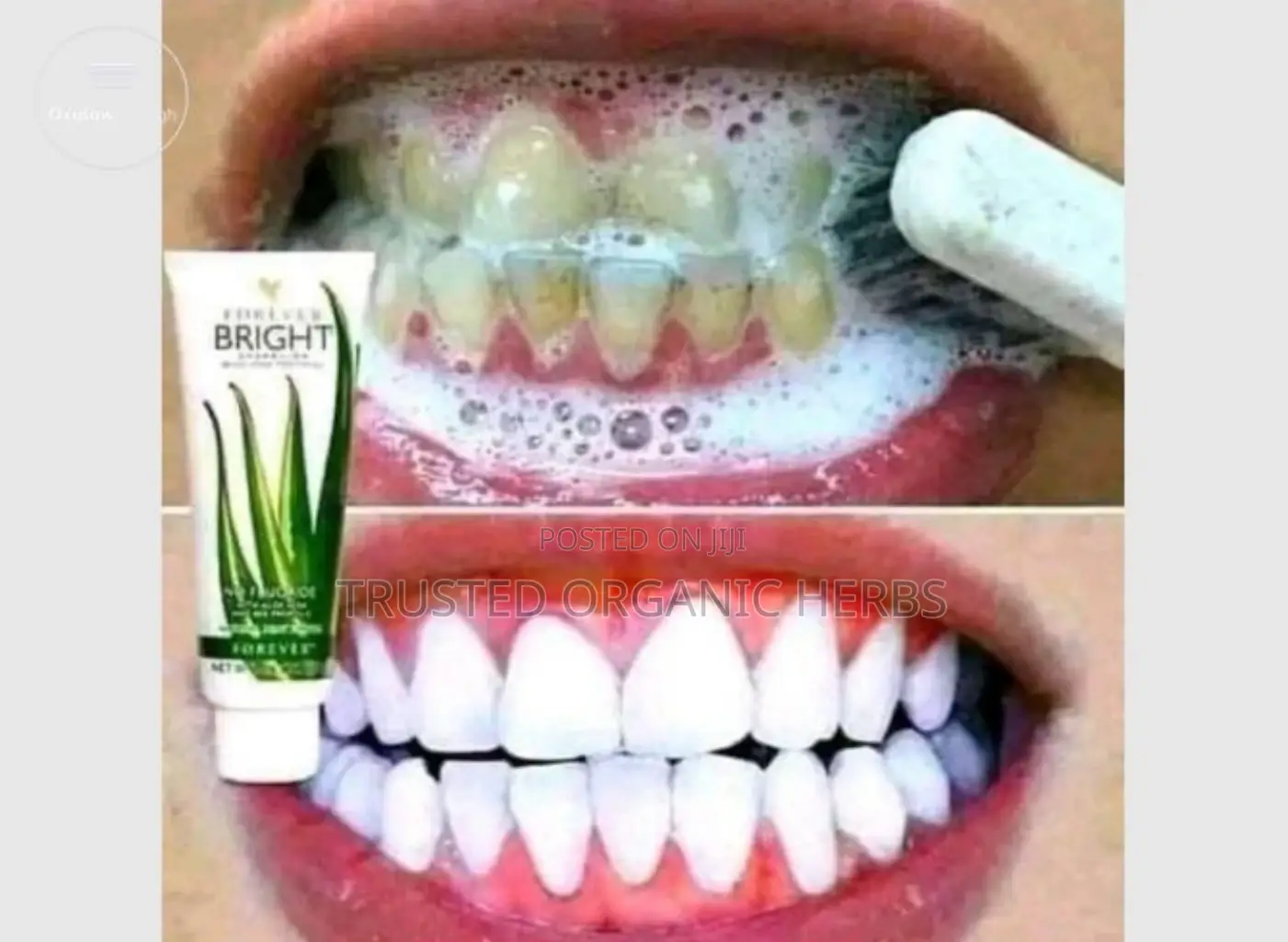 Forever Bright Toothgel( No Fluoride) Naturally