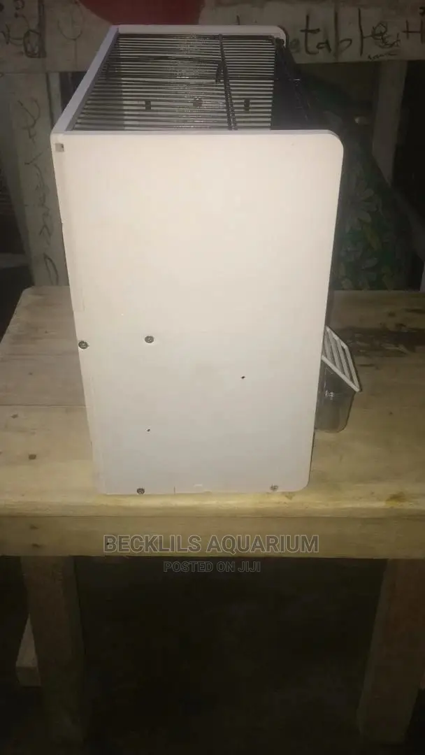 Bird Cages