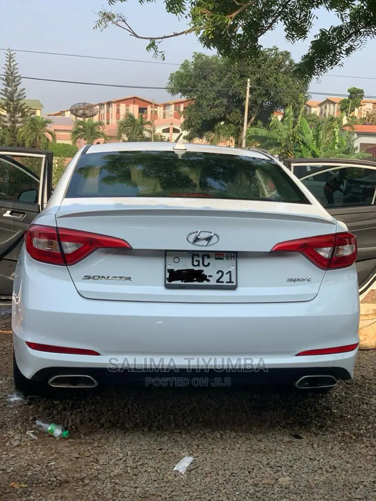 Car Rentals