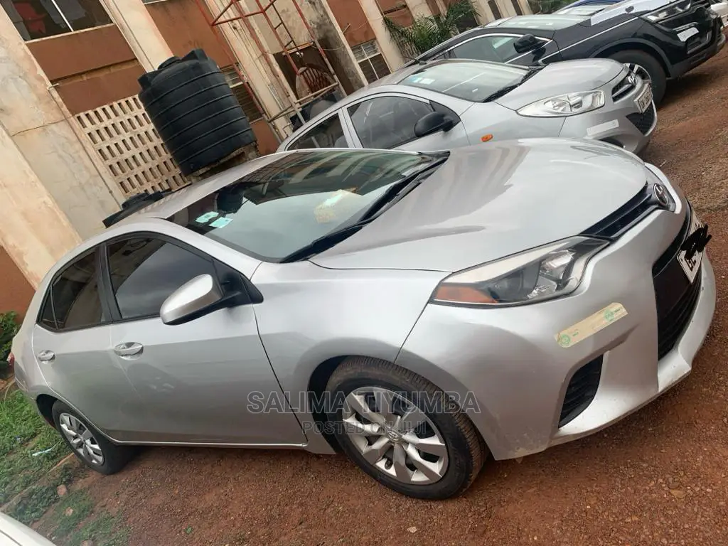 Car Rentals Service