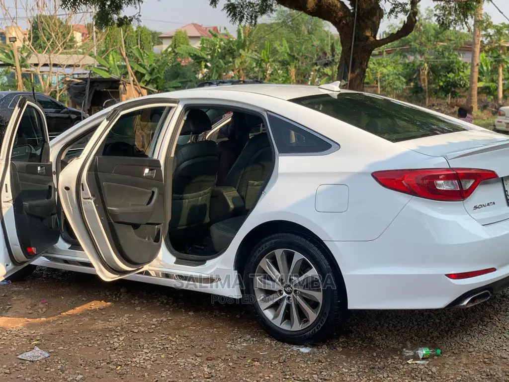 Car Rentals Service