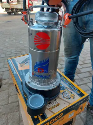 1hp Pedrollo Sewage Pump