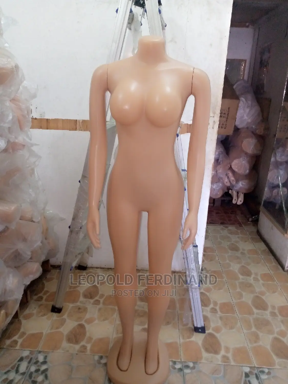 Leo the Mannequin