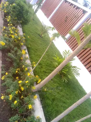 Garden Supplies