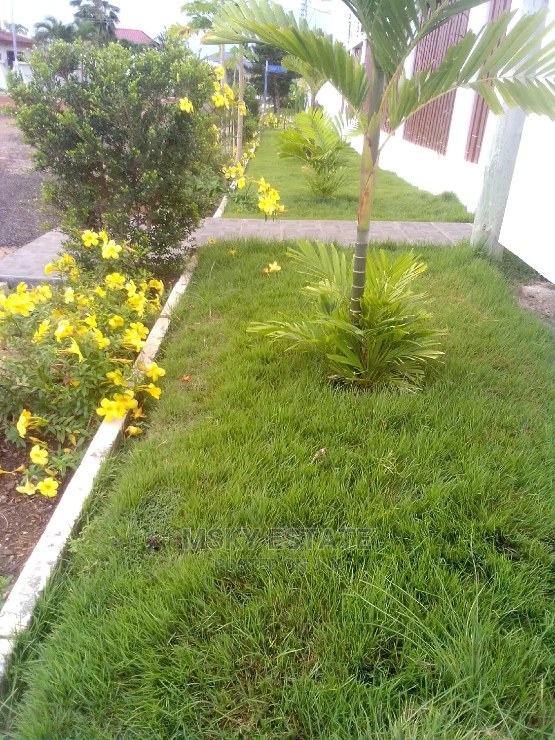 Garden Supplies