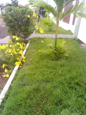 Garden Supplies