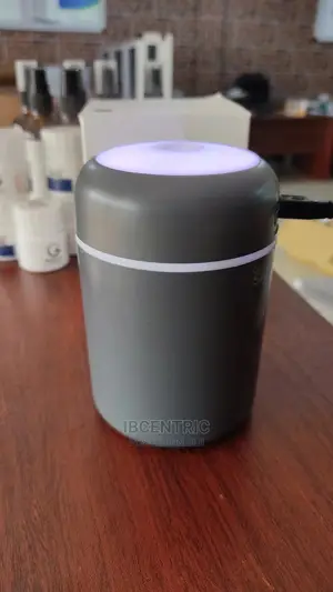 Goodaire Sanz Mini Ultrasonic Humidifier