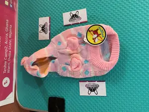 Toy Dog Clothings Series 12