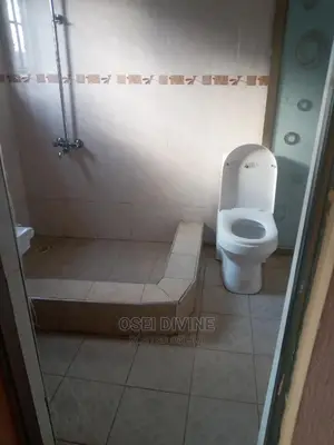 Exe 2-Bedrooms Apartment Dansoman Roundabout