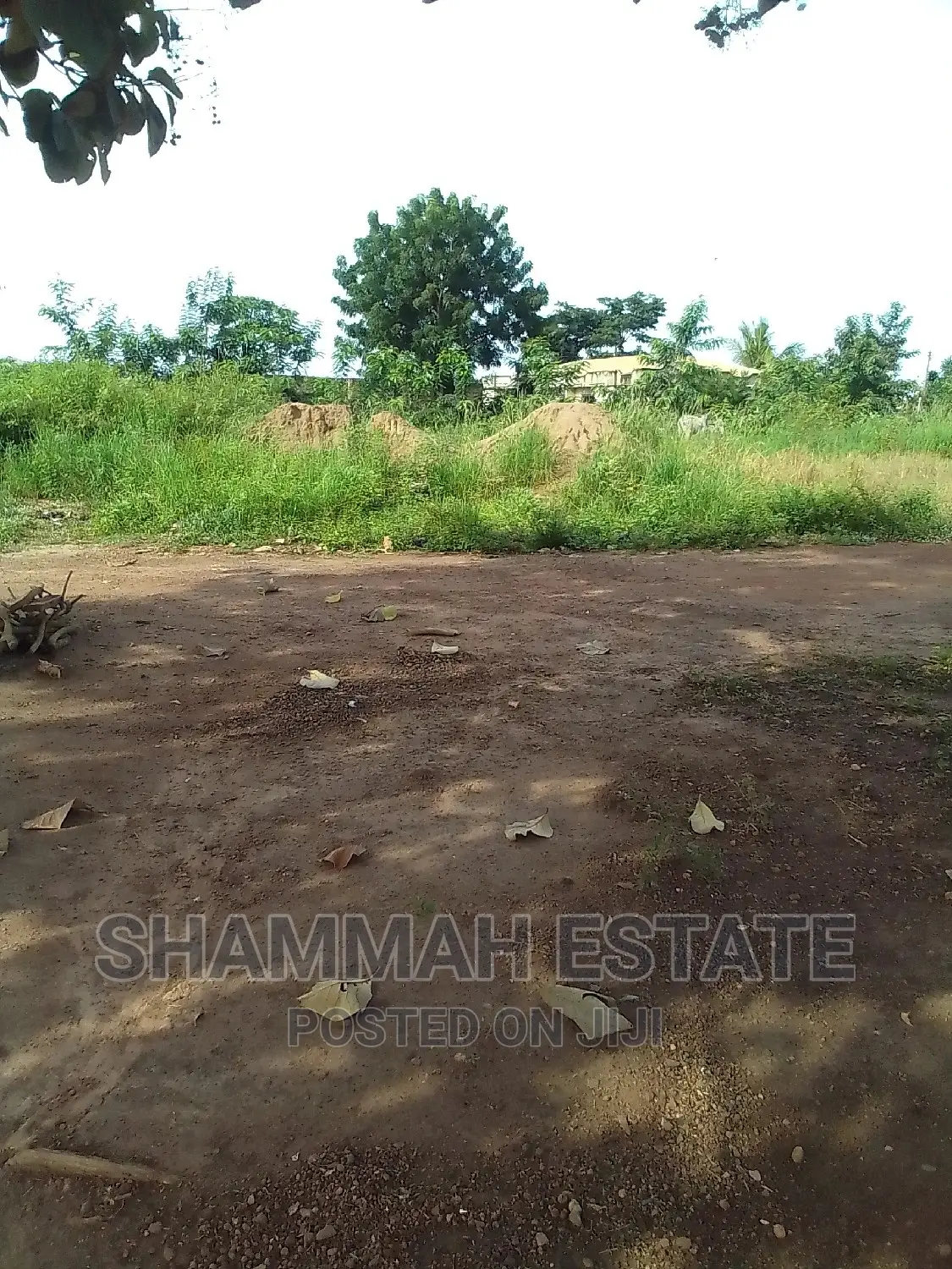 Plot for Sale at Berlin Top