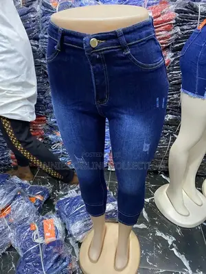 Ladies Classy Jeans Trousers