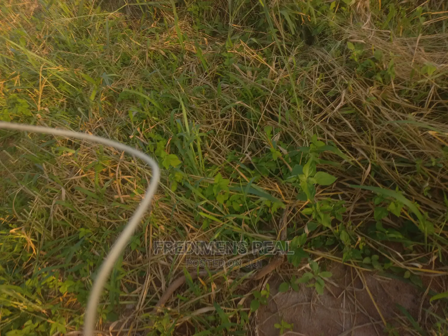 A Land at Adubinso-Biaa for Sale