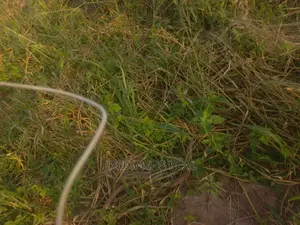 A Land at Adubinso-Biaa for Sale