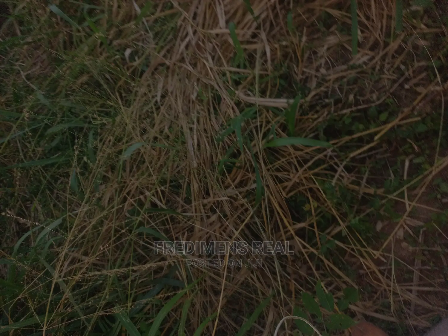 A Land at Adubinso-Biaa for Sale