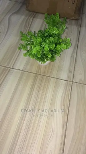 Flowers and Pot