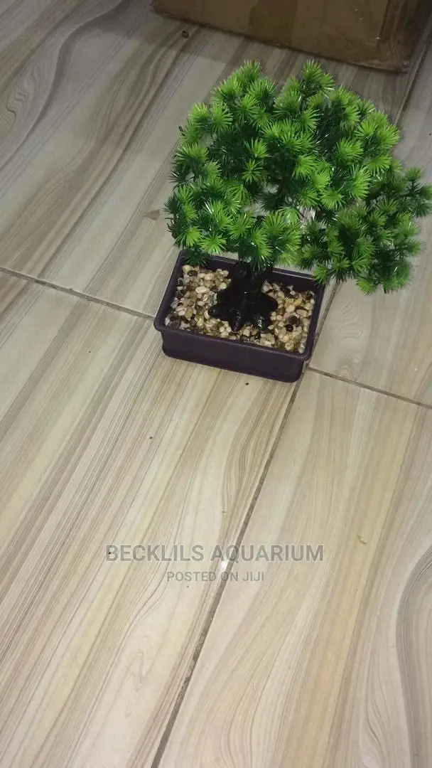 Flowers and Pot