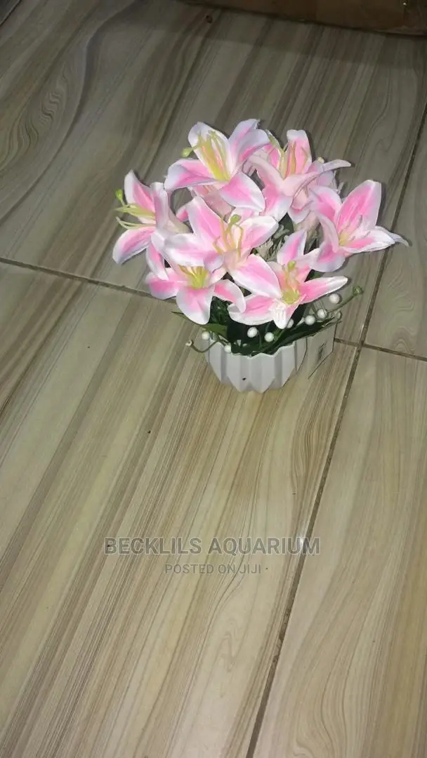 Flowers and Pot