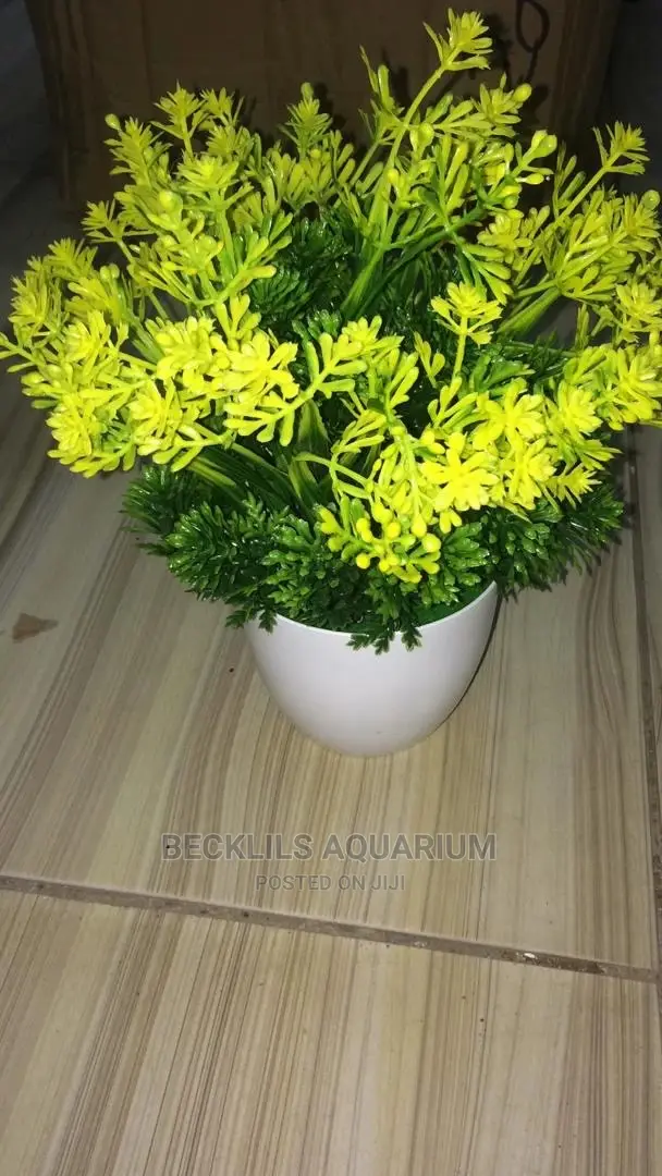 Flowers and Pot