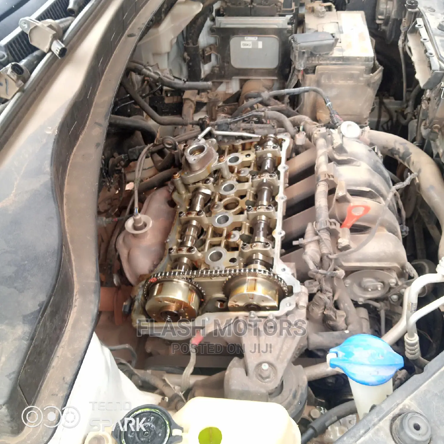 Hyundai and Kia Specialist