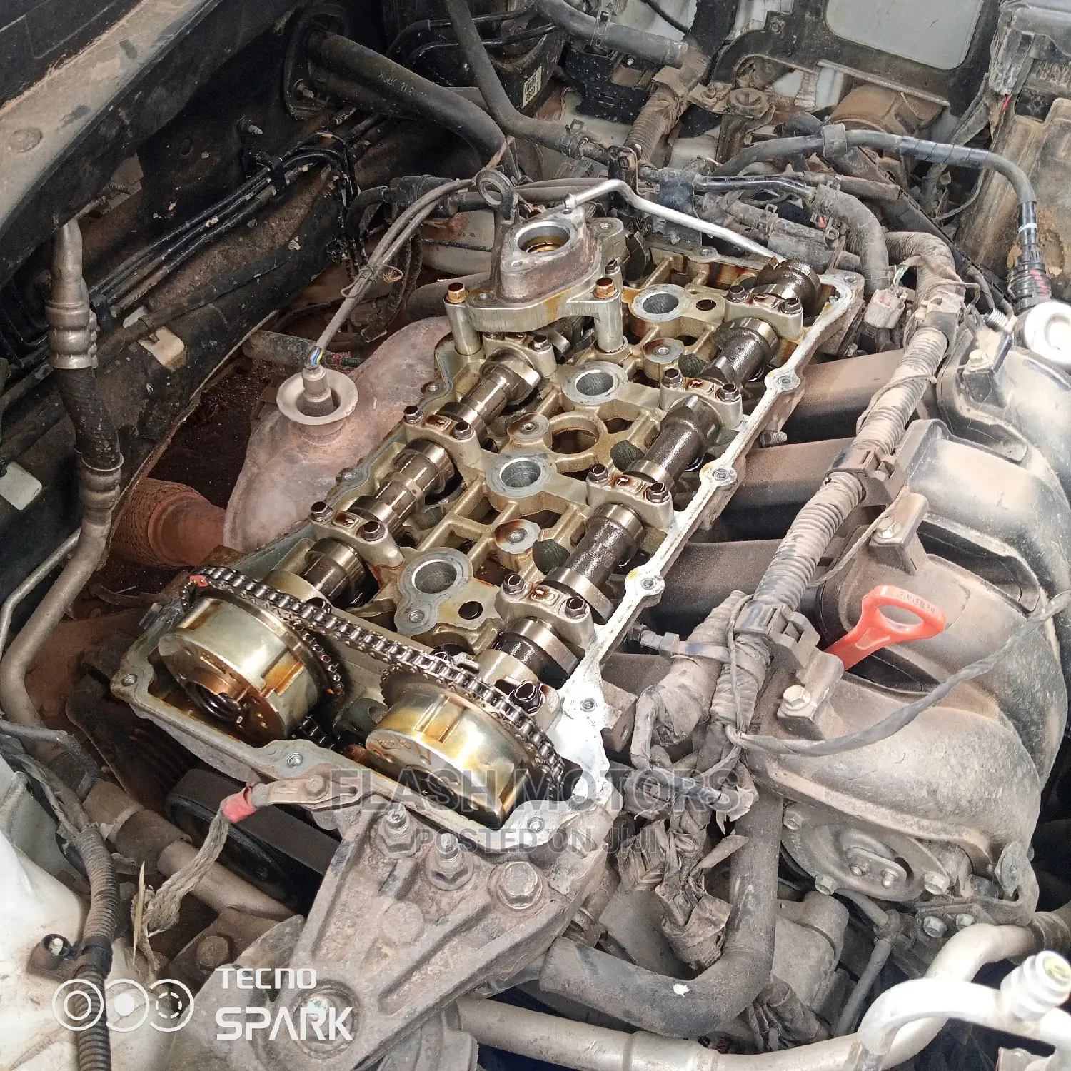Hyundai and Kia Specialist