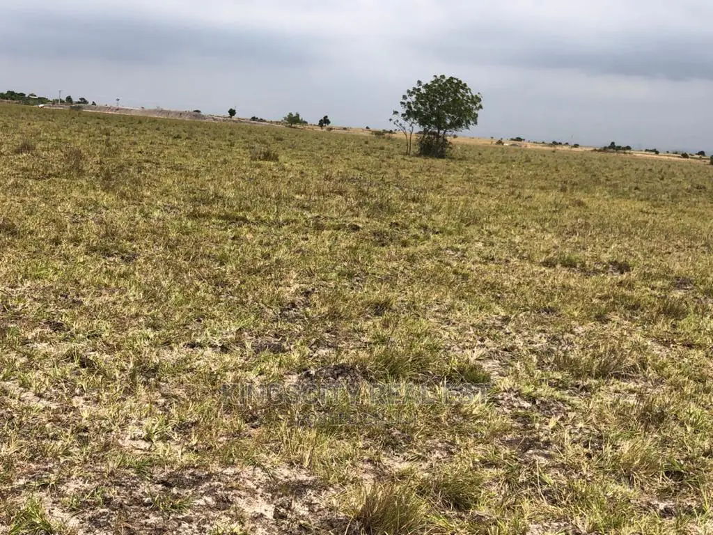 Well Planned City Lands at Tsopoli