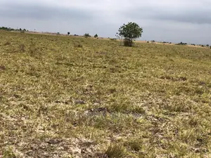 Well Planned City Lands at Tsopoli