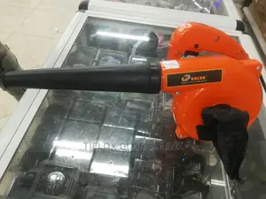 Electric Blower(600w)