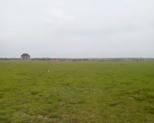 Best Offers on Neatly Demarcated Plots