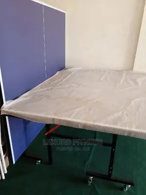 Table Tennis (Foldable) Set With Net and Racket, Water Resistant